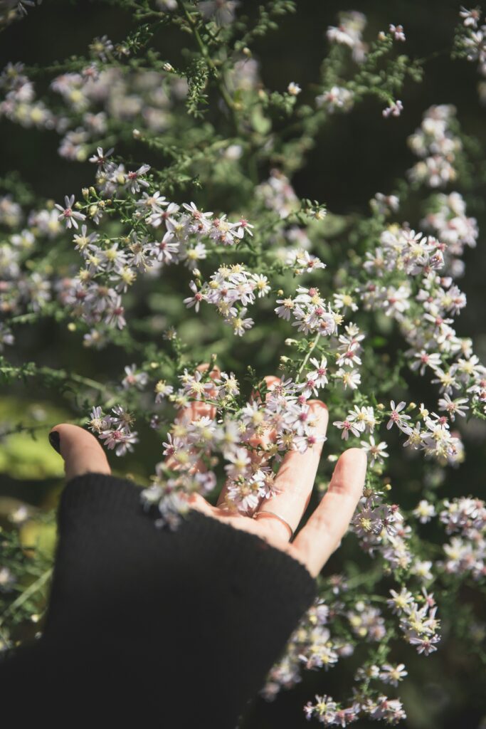 Person holding little flowers in her hands gently

The Kristi Jones Podcast - What does it mean to live life full?